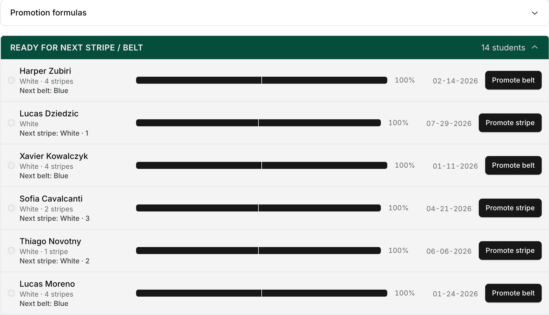 Rank Advisor showing the Ready for next stripe or belt section with students, progress bars at 100 percent, belt start dates, and Promote buttons.